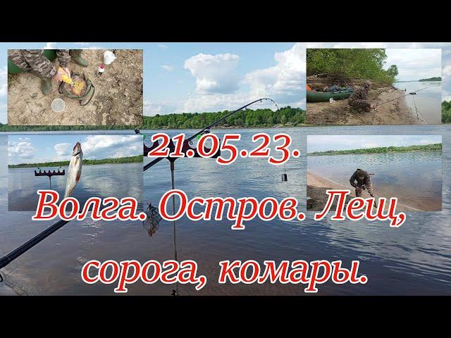 21.05.23.  Волга. Остров. Лещ, сорога, комары.