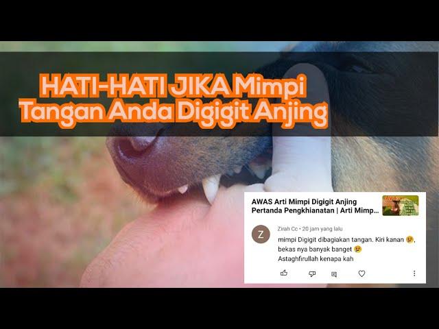 Begini Penjelasan Mimpi Digigit Anjing Pada Tangan menurut Analisa @KlenikTV