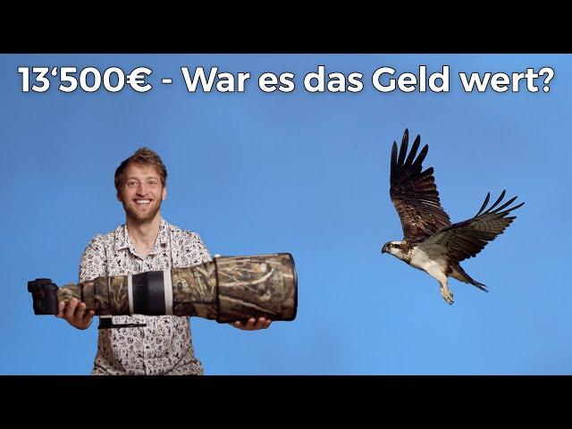 Canon RF 600mm f/4 - Perfektes Objektiv für die Vogelfotografie?