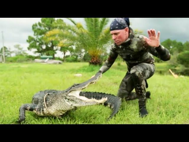 Gator Saved from Hunter's Bullet | Gator Boys