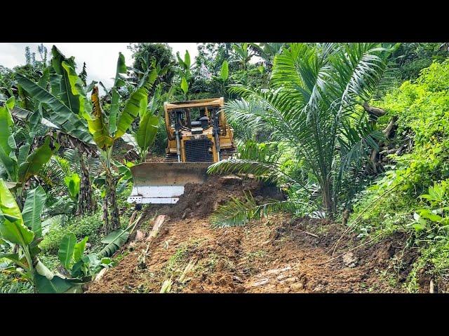 Thebest!! Skilled CAT D6R XL Bulldozer Operator Creates New Road in Banana Plantation