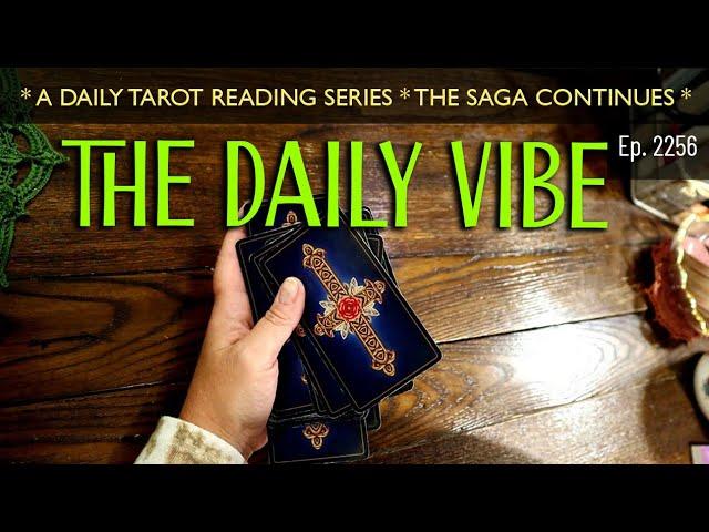 The Daily Vibe ~ Wow, You Sure Have Learned a lot through this Ordeal ~  Daily Tarot Reading