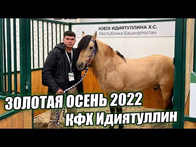 Привезли нашего Башкирского жеребца "Газиза" на Золотую Осень 2022/ КФХ Идиятуллин