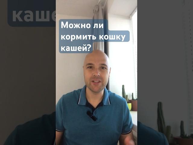 Можно ли кормить кошку кашей? #кошки #ветеринар