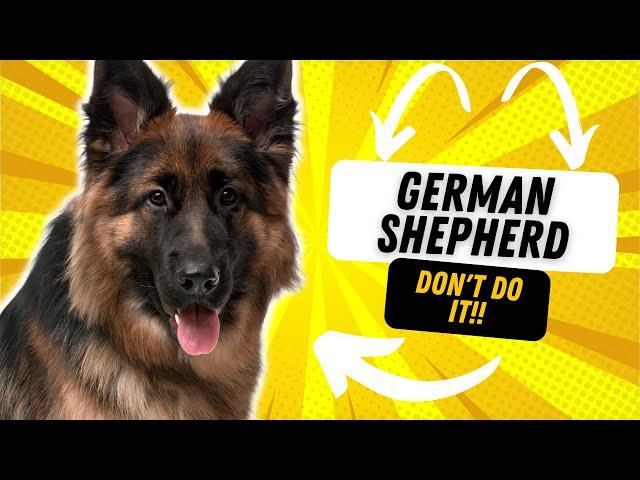 WHY YOU SHOULDN'T GET A GERMAN SHEPHERD