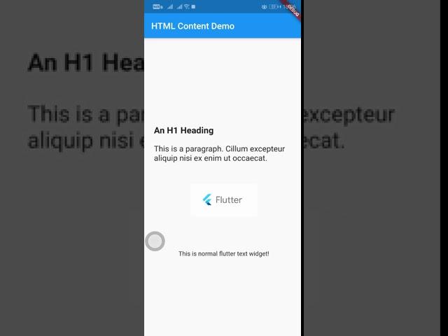 HTML Content inside a flutter app example | Flutter Central