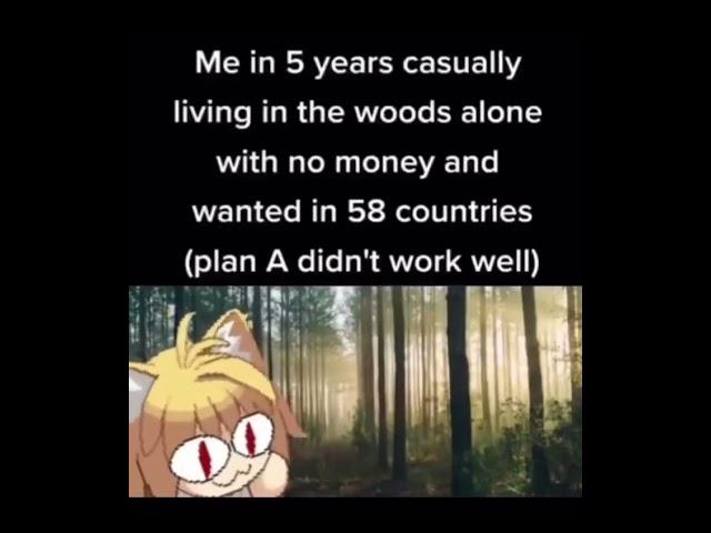 Me in 5 years casually living in the woods alone with no money and wanted in 58 countries