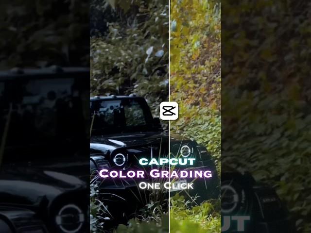 Dark Cinematic Color Grading In one Click #capcut #shorts