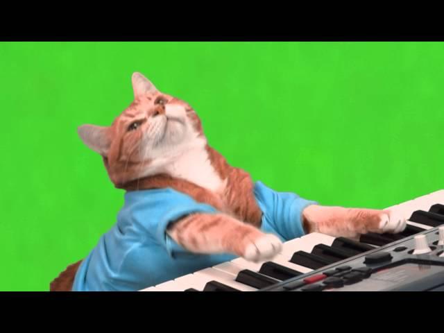 Make Your Own Keyboard Cat - Green Screen