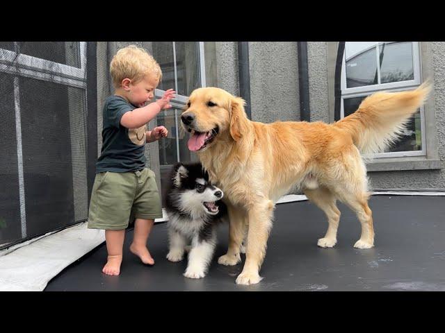 Adorable Puppy And Baby Boy Love The Trampoline!! (Cutest Bond Ever!!)