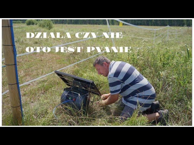 Jak wygląda pastuch dla koni po roku użytkowania w Plutyczach Podkaszanie Pomelac