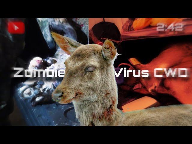 Zombie Virus (CWD) Что это на самом деле ??