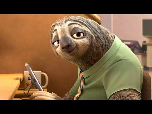 Cute Sloth's "funny-slow smiling" GIFs..