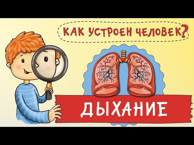 Мультфильм. Как устроен человек? Зачем мы дышим? Путешествие по вашему телу. Развивающий мультик.