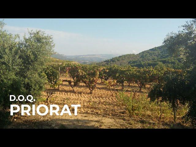 Spanish Wine Regions: Priorat