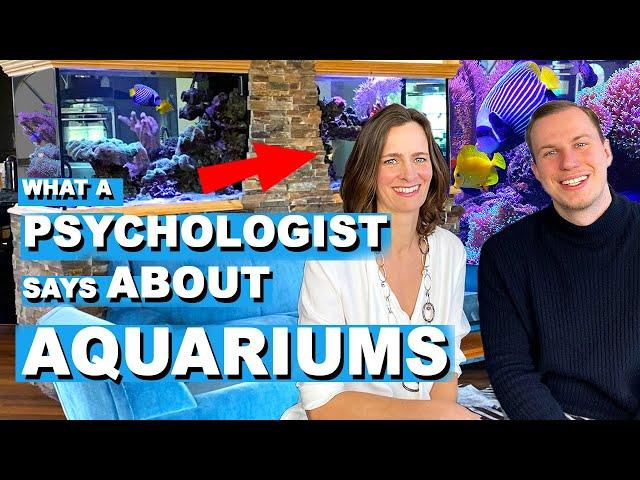 What a therapist says about the aquarium hobby -REEF TANK special