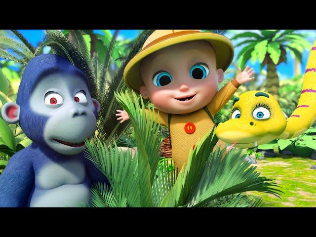 BINGO + Down in the Jungle and more Sing Along Kids Songs and Nursery Rhymes - LooLoo Kids