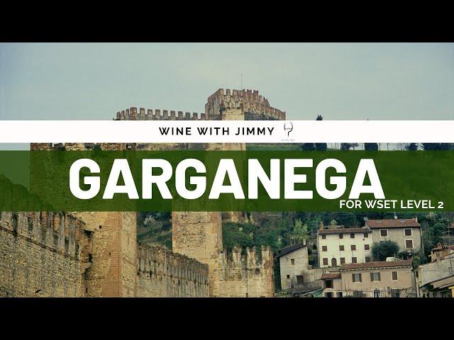 Grape Varieties - Garganega Intermediate Version ideal for WSET Level 2 Wine