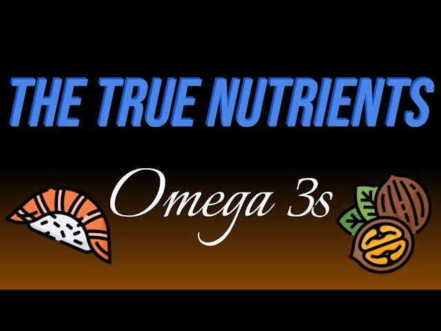 The True Nutrients - Omega 3 Fatty Acids