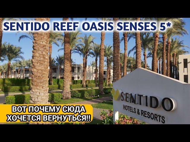 Египет 2021 отель Sentido Reef Oasis Senses 5 *Шарм