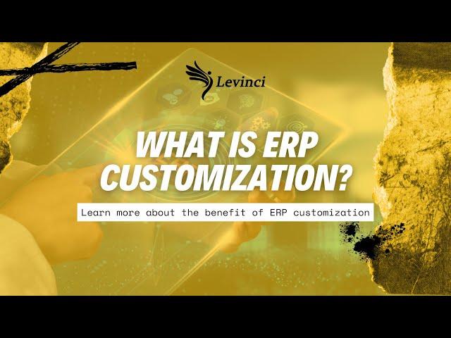 WHAT IS ERP? THE BENEFIT OF USING ERP CUSTOMIZATION!