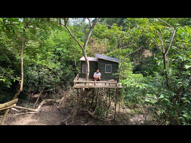 Camping hujan deras || Membangun rumah pohon di dalam hutan