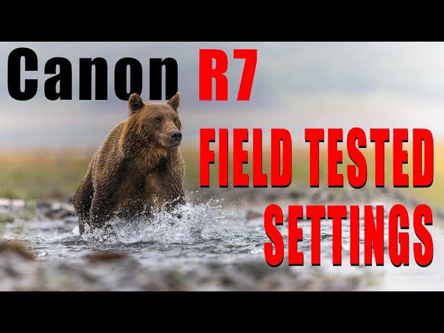 CANON R7 - Field Tested Settings and Button Layout for Bird and Wildlife Photography