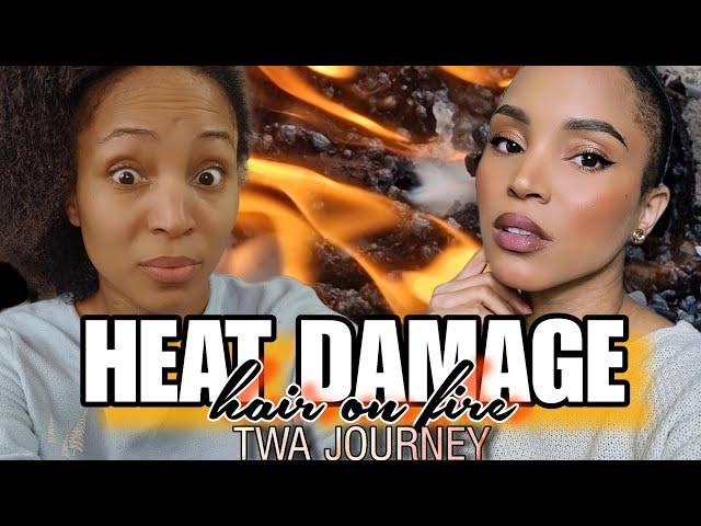 What I Did Next: HEAT DAMAGED HAIR | BIG CHOP | TWA to Waist Length Journey