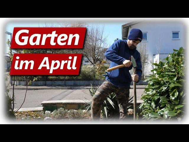 Gartenarbeit April | Beet anlegen, Rasenkante abstechen, Bienen, Kaki