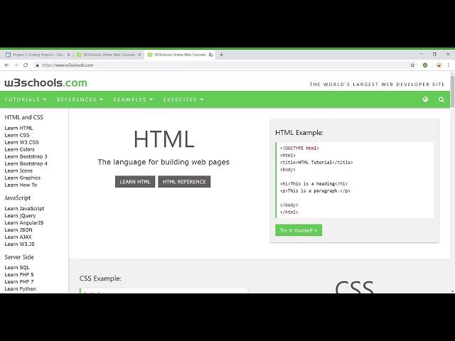 W3Schools Online HTML Tutorial