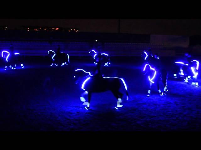 White Stable Horse Neon Show