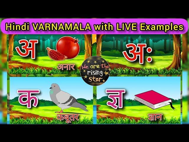 Hindi VARNAMALA with LIVE Examples | Hindi Swar | Hindi Varnamala | WATRstar