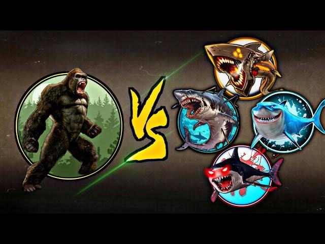 Shadow Fight 2 KING KONG Vs Megalodon, Legendary Megalodon, Mecha Megalodon & Zombie Shark