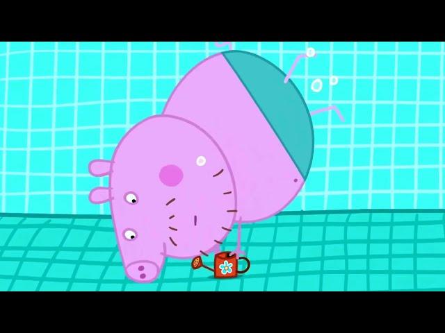 Peppa Pig Français | Peppa visite la piscine | Épisode Complet | Dessin Animé Pour Bébé