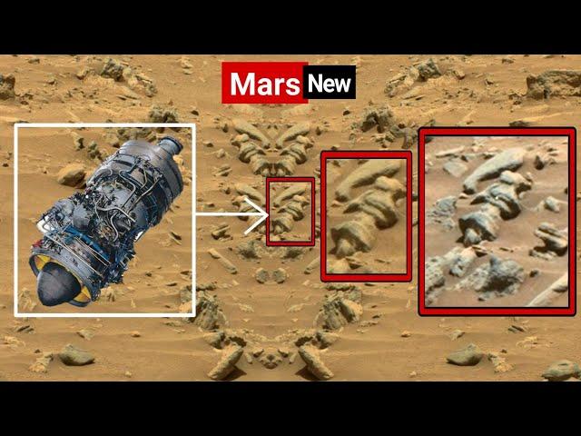 NASA's Mars Rover Perseverance Capture Most Fascinating Video Footage of Mars Life -Curiosity Images