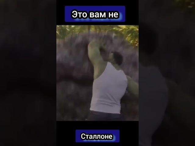 Это вам не Сталлоне)))