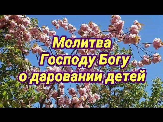 Сильная молитва Господу Богу о даровании детей