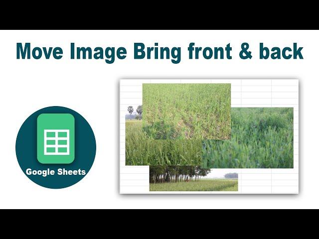 How to Move Image Bring front and back in Google Sheets