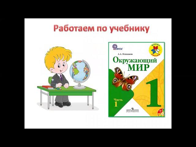 1кл.Окр.мир.Что окружает нас дома.