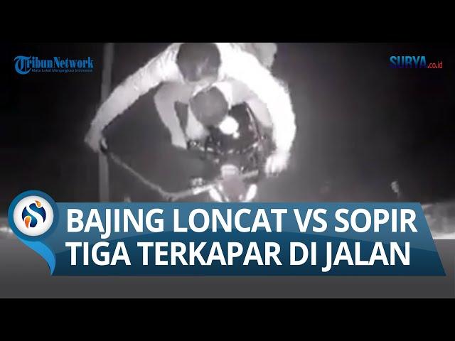 VIDEO CCTV: Bajing Loncat Vs Aksi Sopir Truk, Tiga Terkapar di Jalan, Kok Bisa?