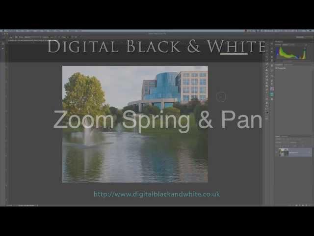 Photoshop Zoom and Pan using Keyboard Shortcut