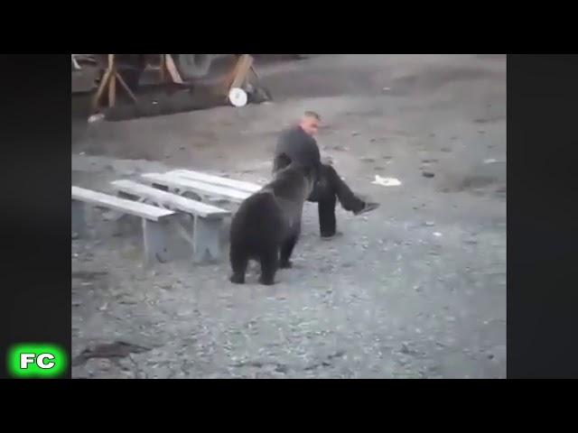 Russian bears/ русские медведи