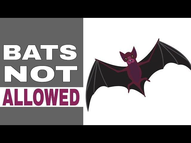 Sound To Get Rid Of Bats | Ultrasonic Bat Repellent Sounds