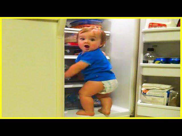 Funny Naughty Sneaky Babies Steal - Cute Baby Videos
