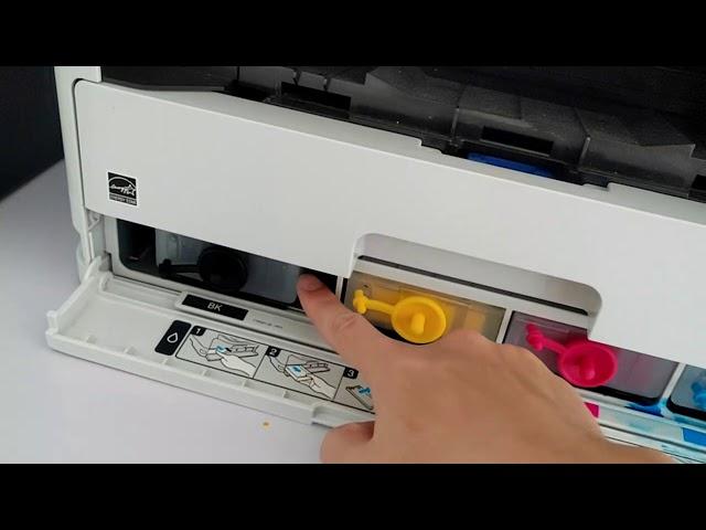 How to make your EPSON printer work without chips by chipless software