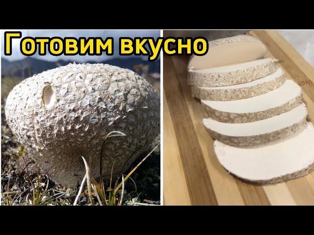 Готовим дождевики просто и вкусно. #грибы #простойрецепт #легкоготовить @Svetich_Georgia