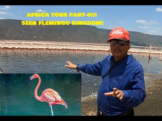 AFRICA TOUR PART 4 | FLEMINGO KINGDOM | TRAVEL VLOG