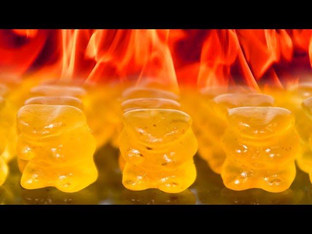 EVIL HOT GUMMI BEARS CHALLENGE | WheresMyChallenge