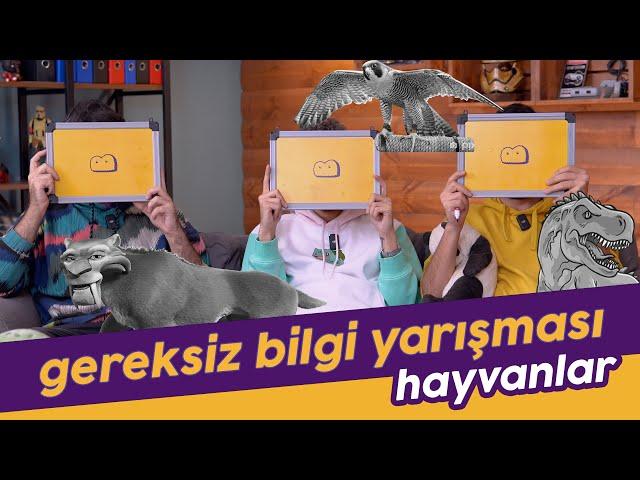 Gereksiz Bilgi Yarışması: Hayvanlar