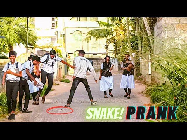Snake Prank //Funny moment's 